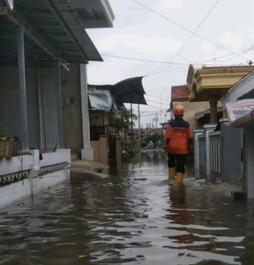 Banjir Rob Menerjang Kabupaten Tegal, 3.987 Warga Terdampak